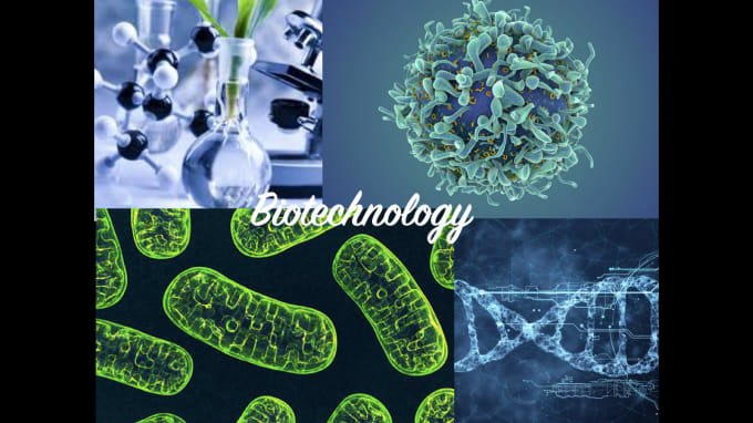 What is Biotechnology?